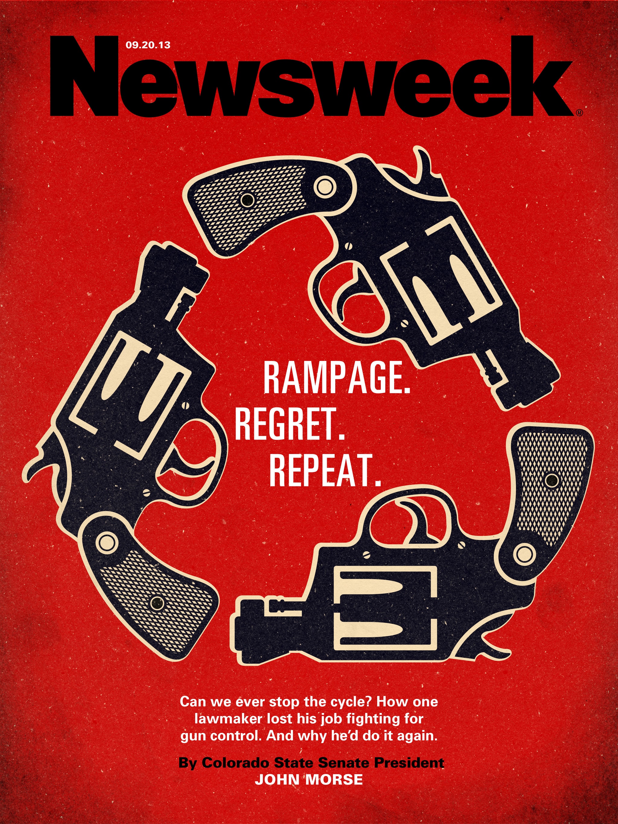 Gun control cover