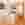 1991571 1c9cae0a e81a 48cd a2e1 c3cdc384de87