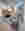50 West St Apt 18 B Financial District New York 241208 R6 304 7277 301 x shiftstitch v12 jimisweetrep CES 1209 1229x1500
