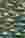Sustainability chris barbalis dhvtr5fwb HI unsplash