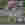 Nakbmqhtmyv8zsw9sh3e