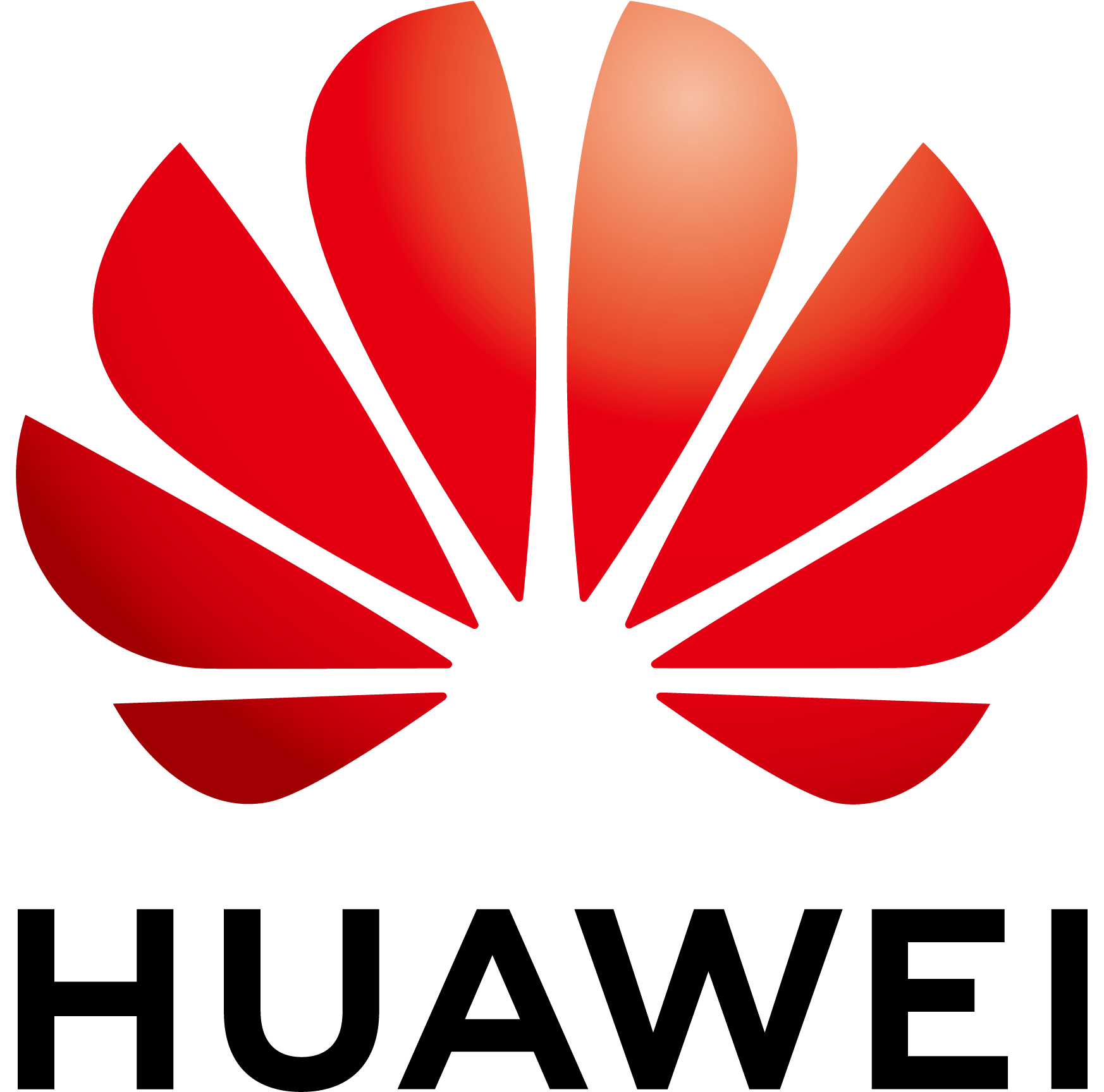 Huawei Technologies Co. Ltd
