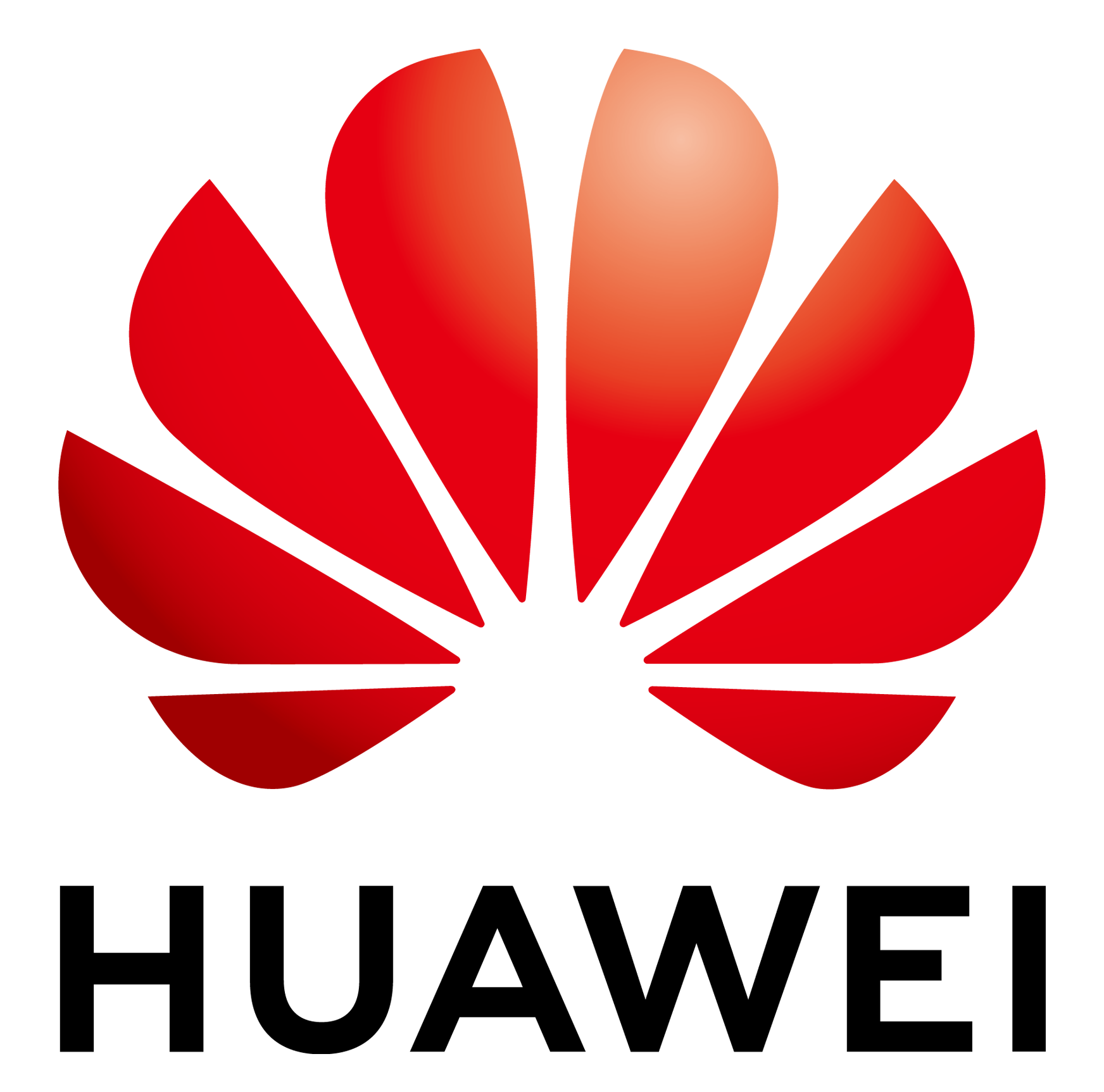 Huawei Technologies Co. Ltd