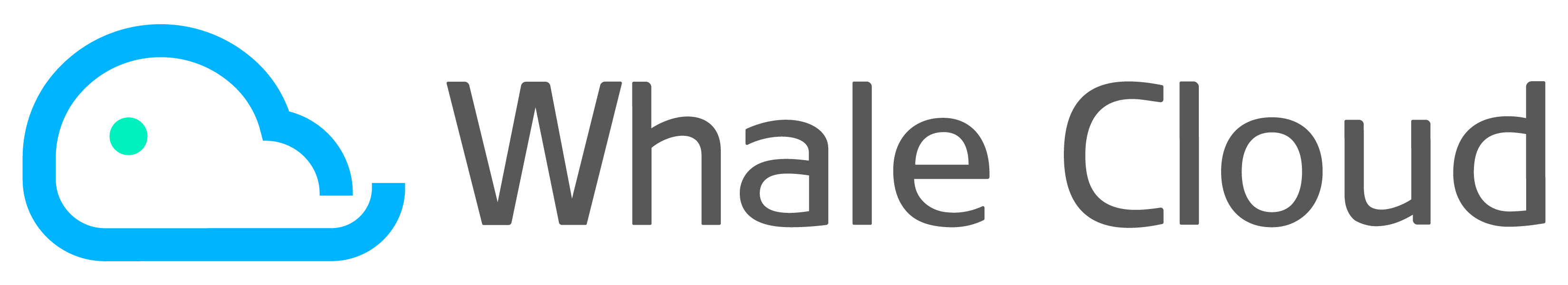Whale Cloud Technology Co., Ltd