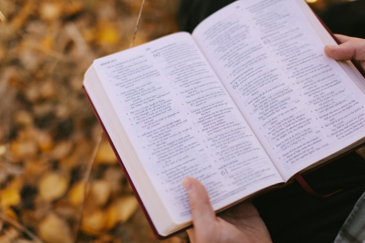 Shall We Go On Sinning Today Daily Devotional
