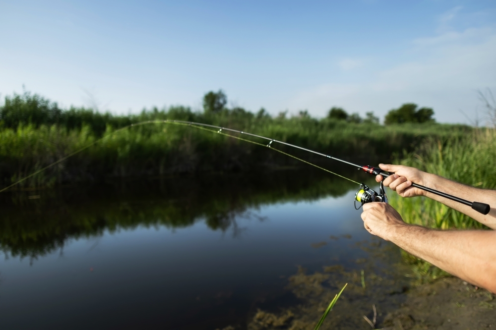 Haven’t You Any Fish? — Today Daily Devotional
