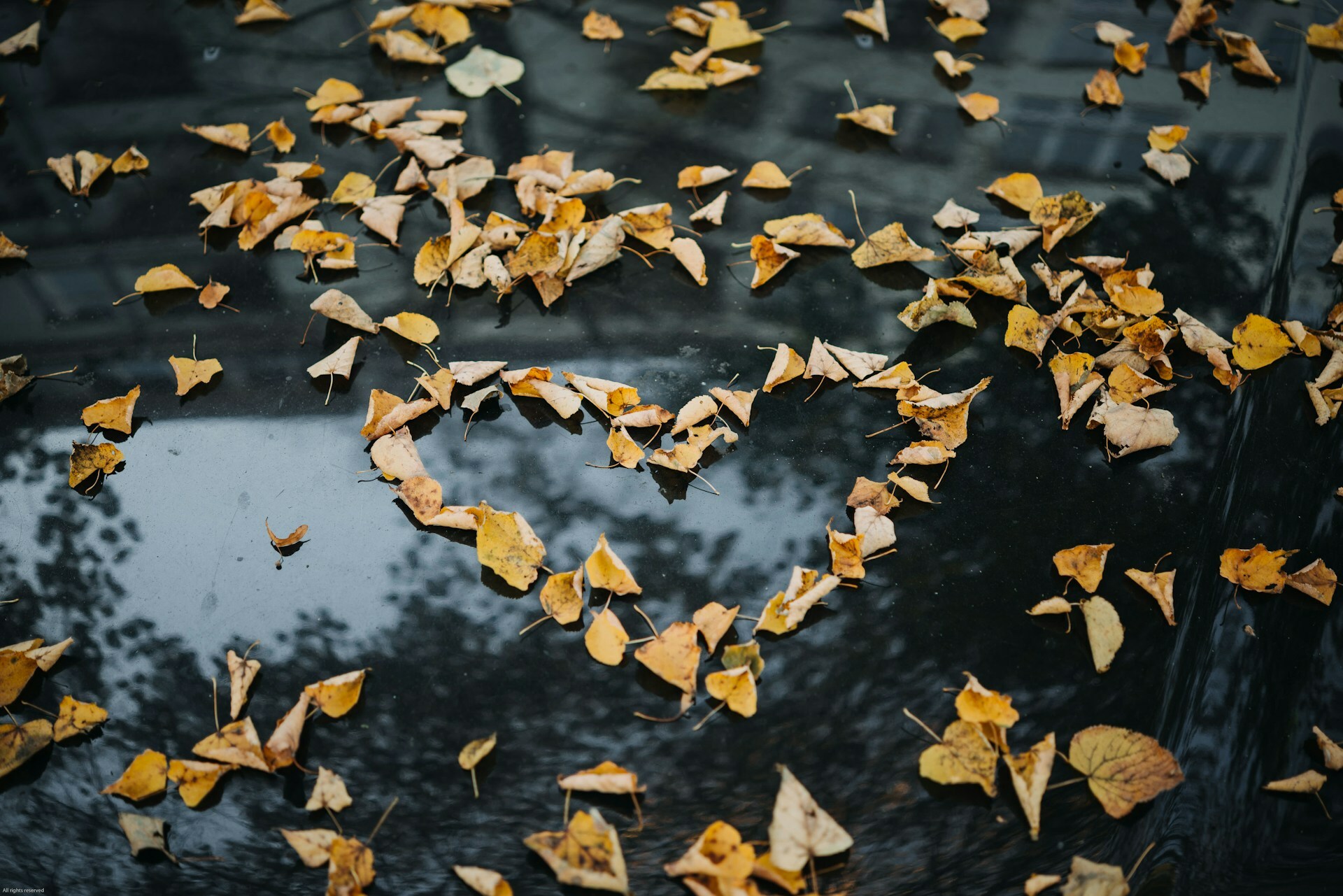 Do You Love Me? — Today Daily Devotional