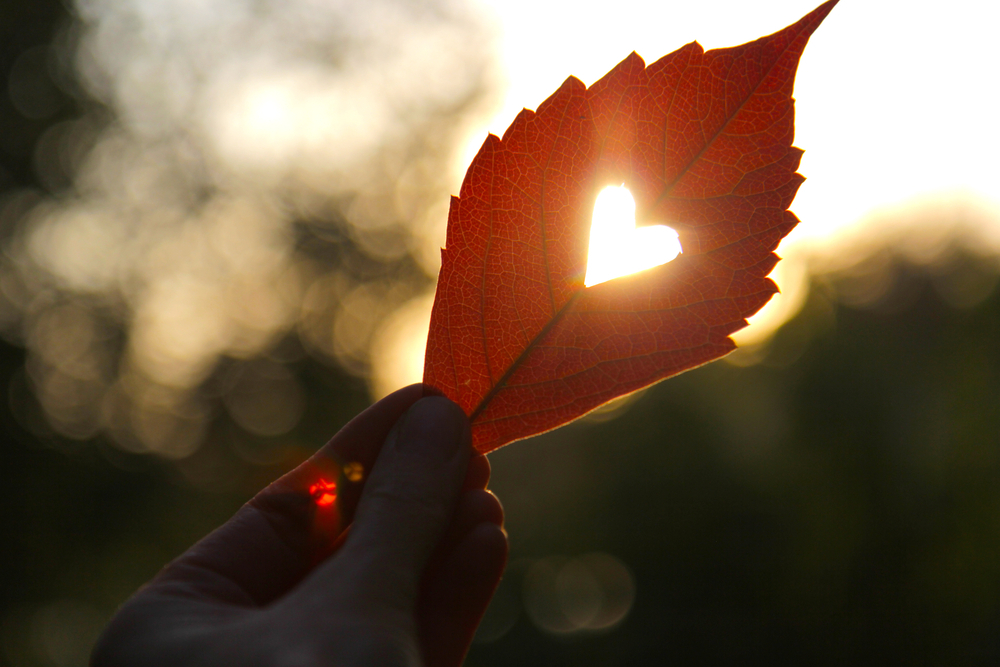 Love: God’s Expensive Free Gift — Today Daily Devotional