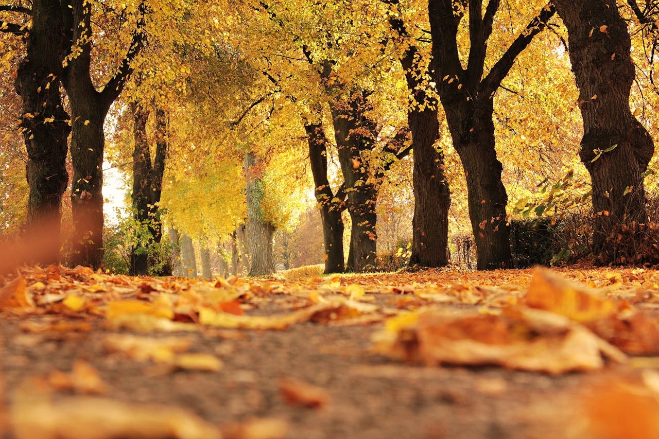 Make the Most of Your Time — Today Daily Devotional