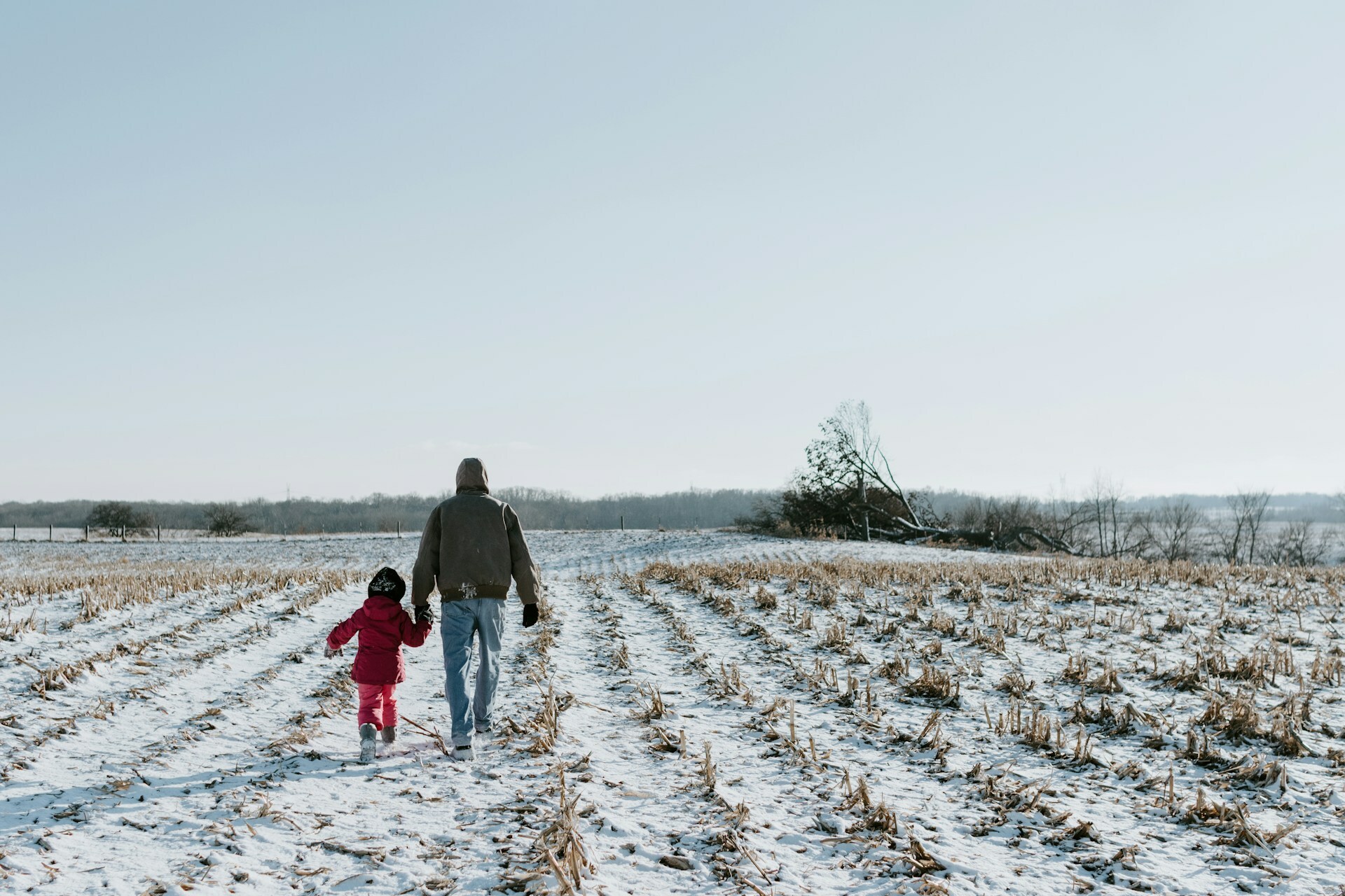 God, the Father — Today Daily Devotional