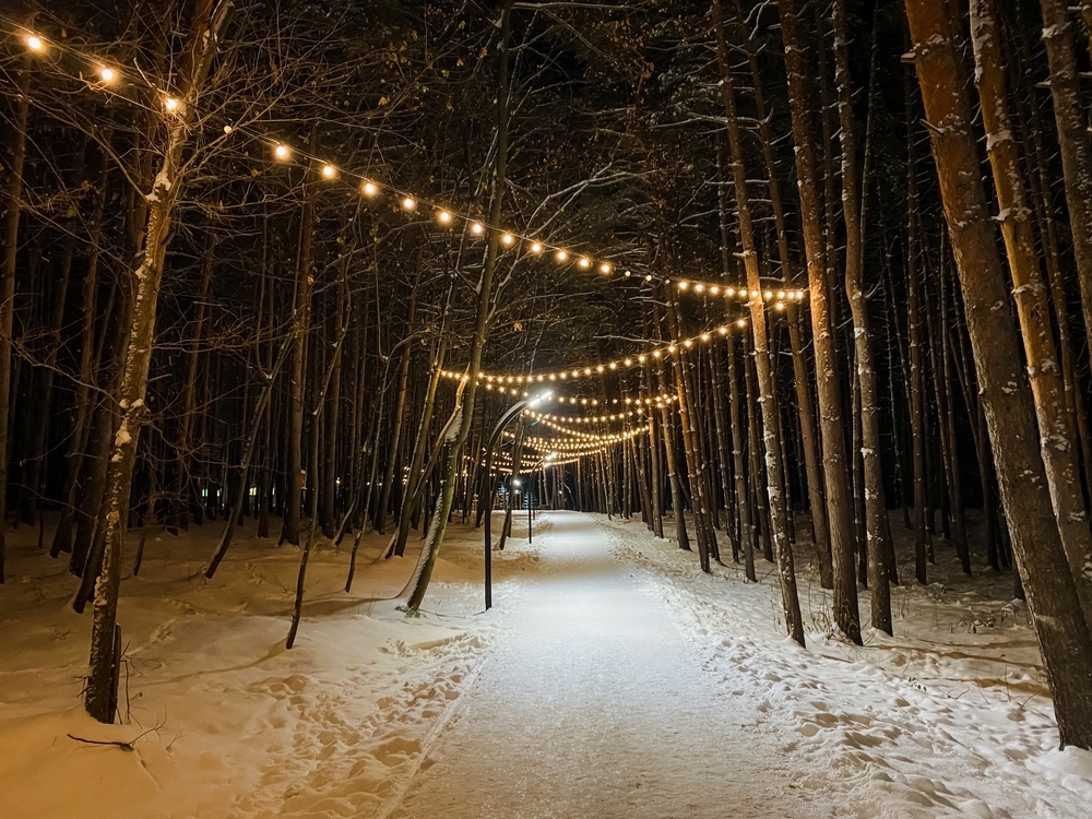 God, the Shepherd in the Shadow — Today Daily Devotional