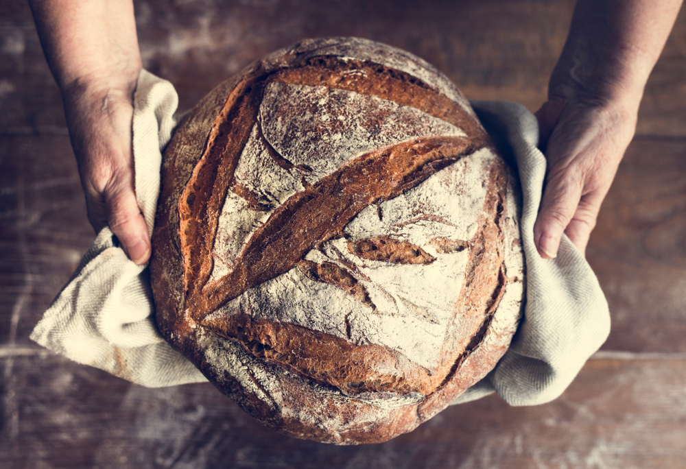 God, the Provider — Today Daily Devotional