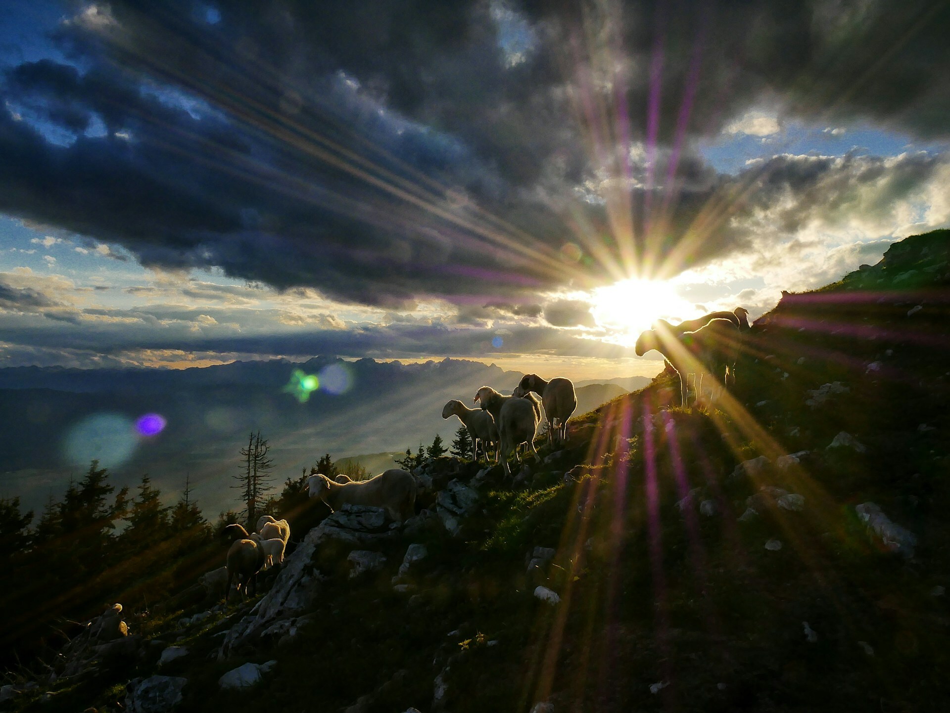 God, the Faithful Shepherd — Today Daily Devotional