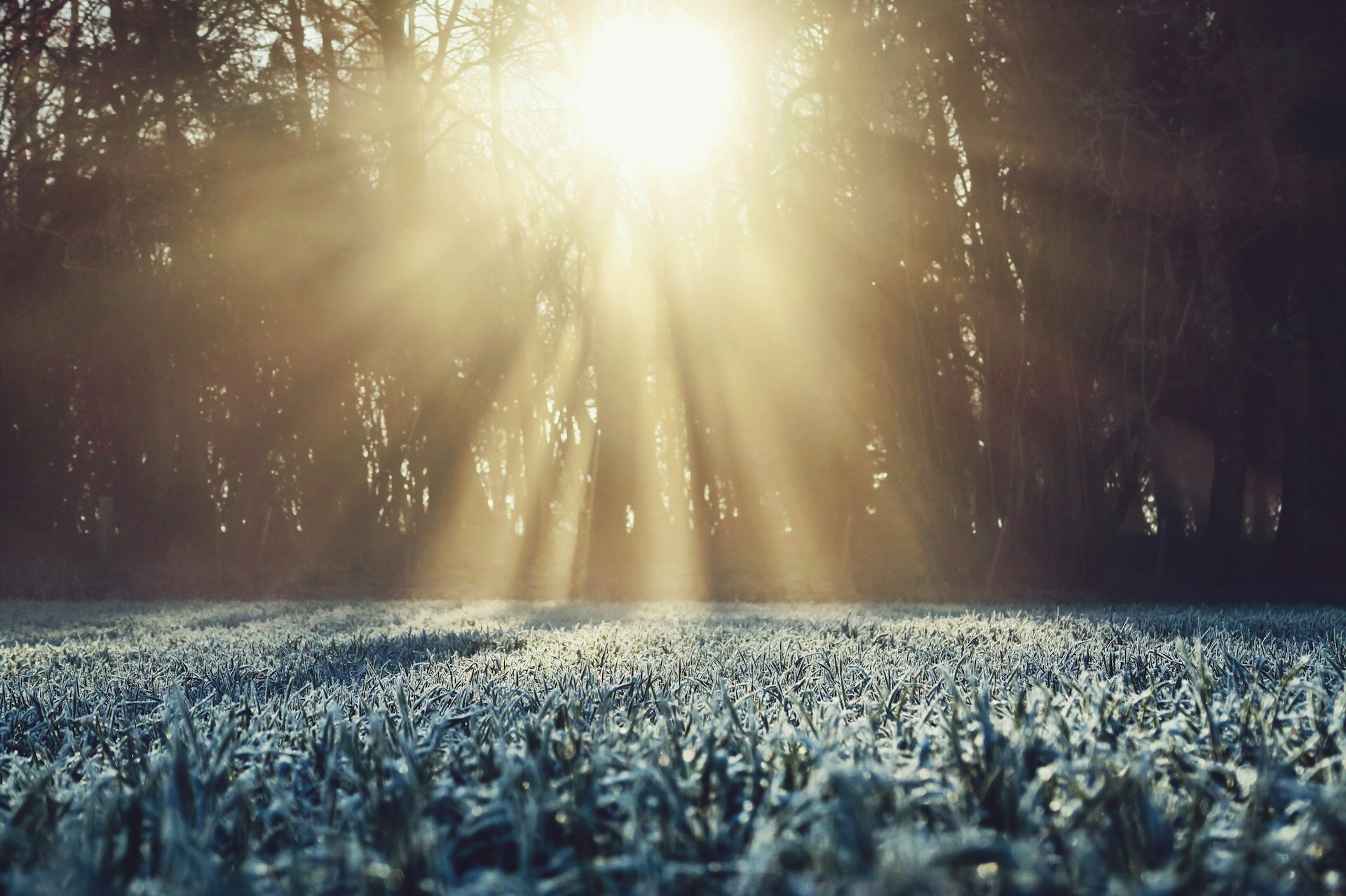 Light on My Path — Today Daily Devotional