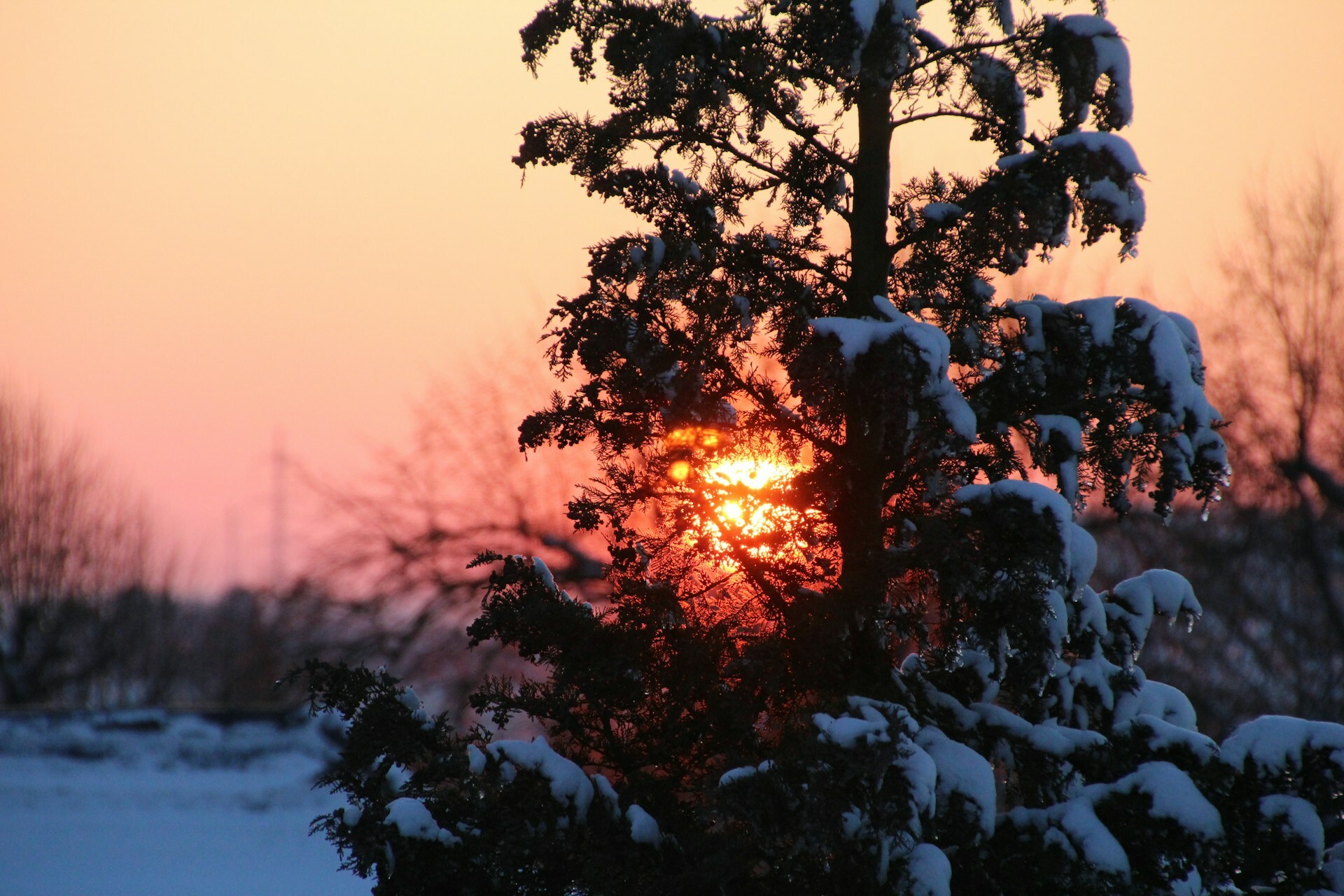 Dawn’s First Light — Today Daily Devotional