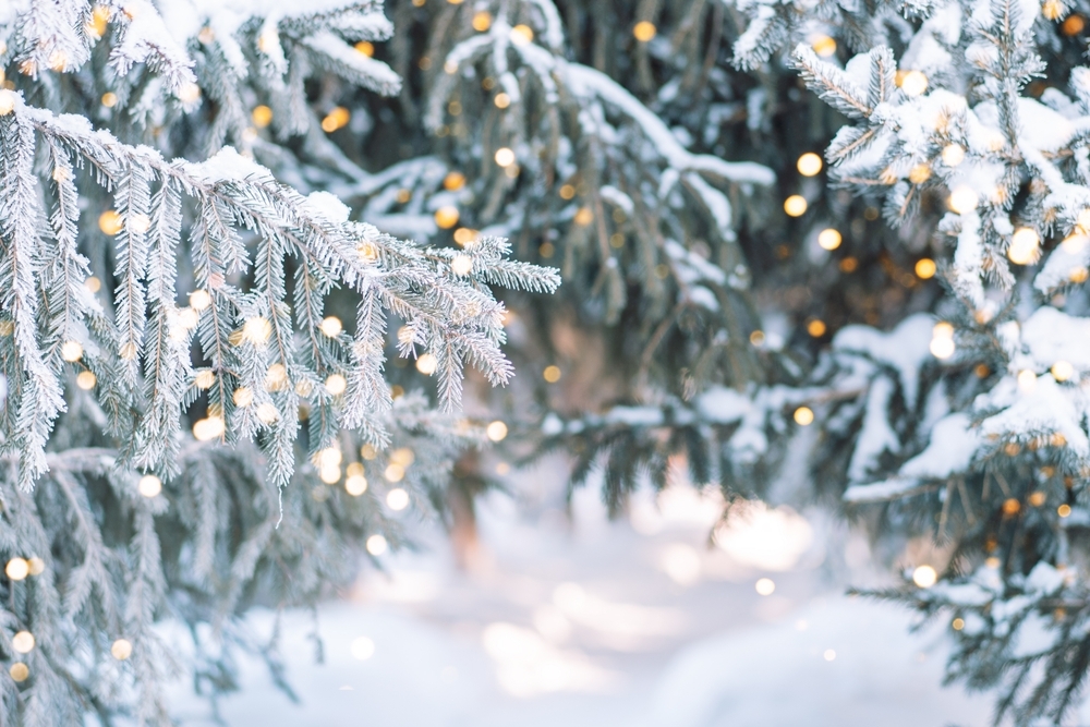 Living by the Light — Today Daily Devotional