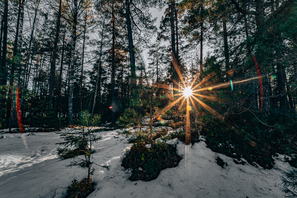 hope-in-the-darkness-today-daily-devotional