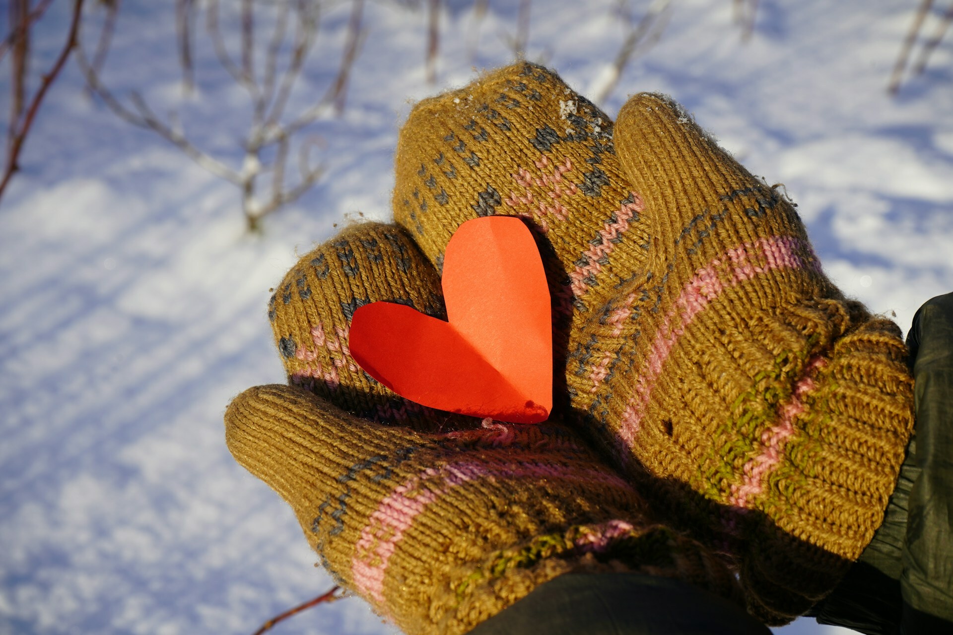 Love the Lord — Today Daily Devotional