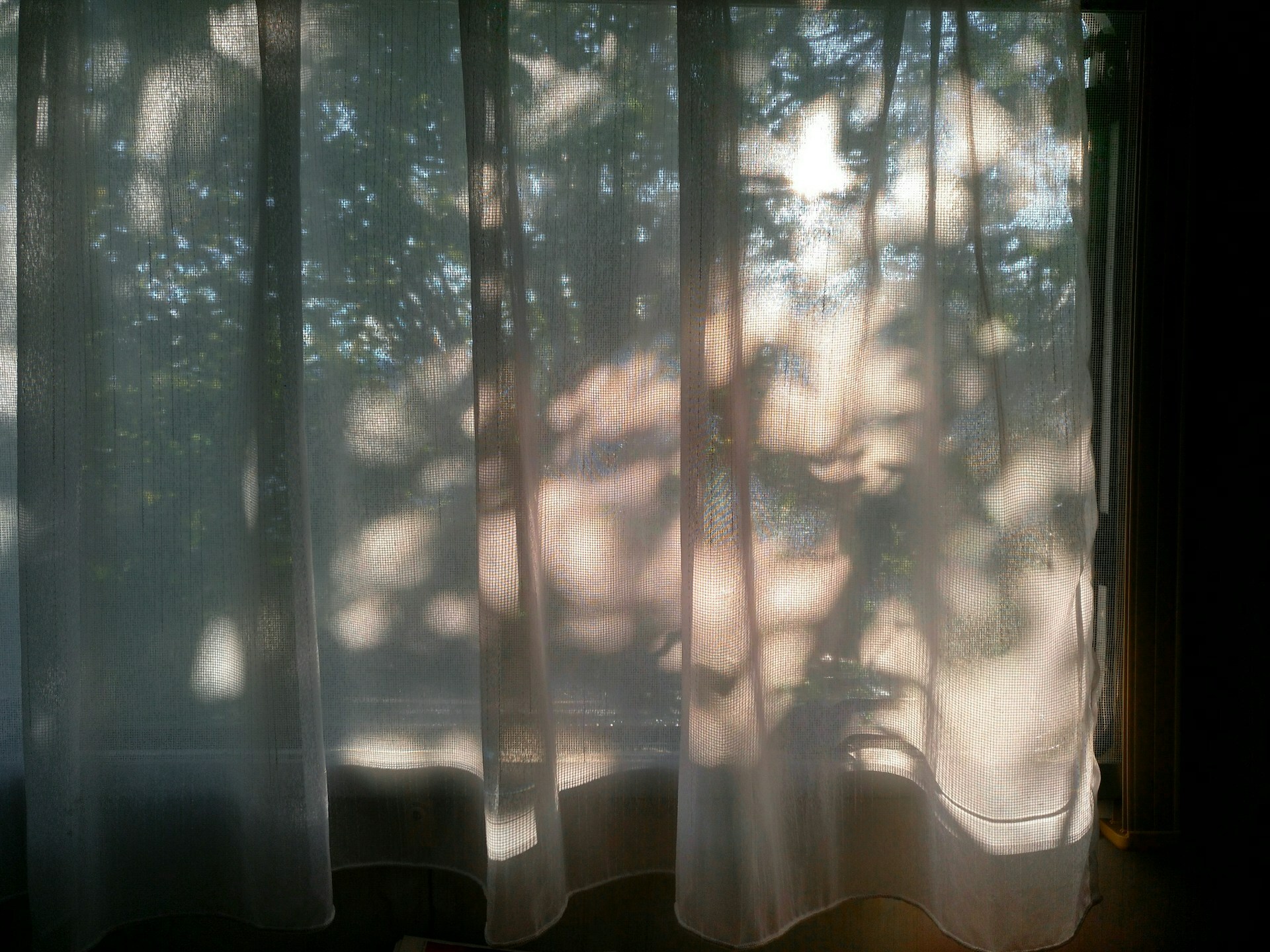 The Curtain is Torn — Today Daily Devotional