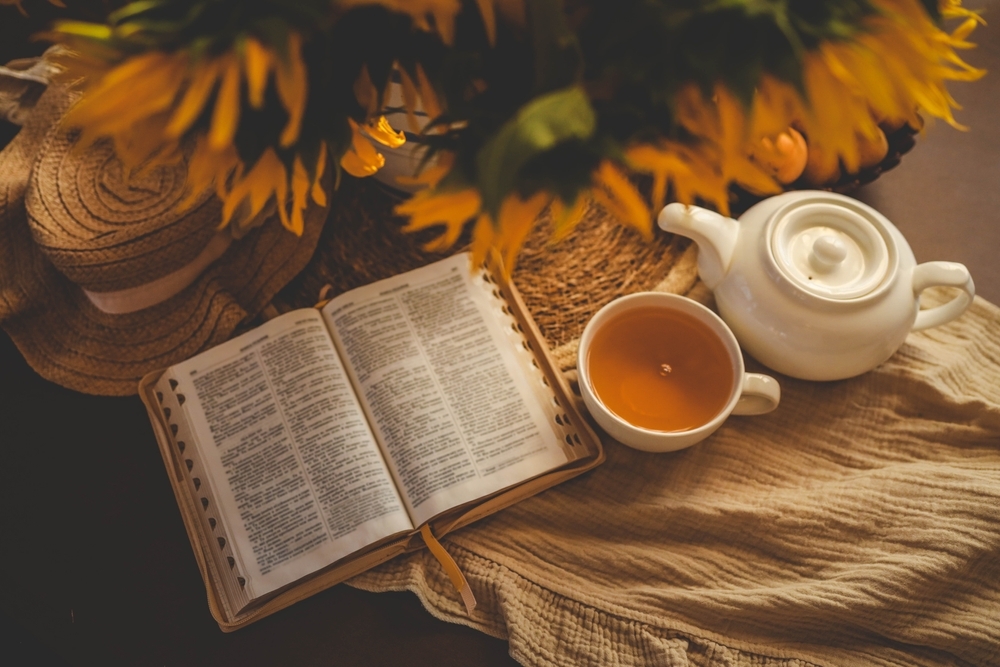 Studying God’s Word — Today Daily Devotional