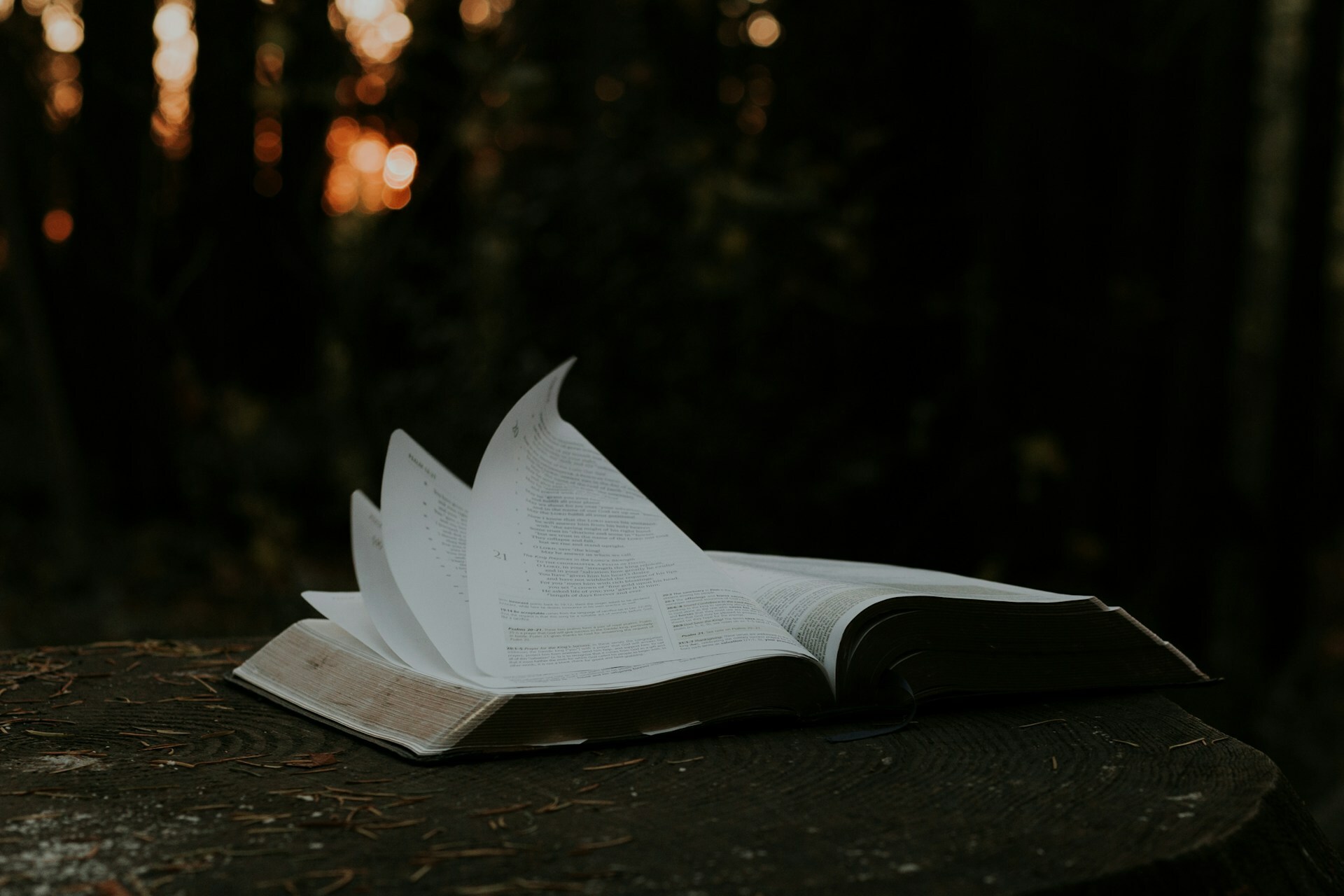 Expectations and Assumptions — Today Daily Devotional