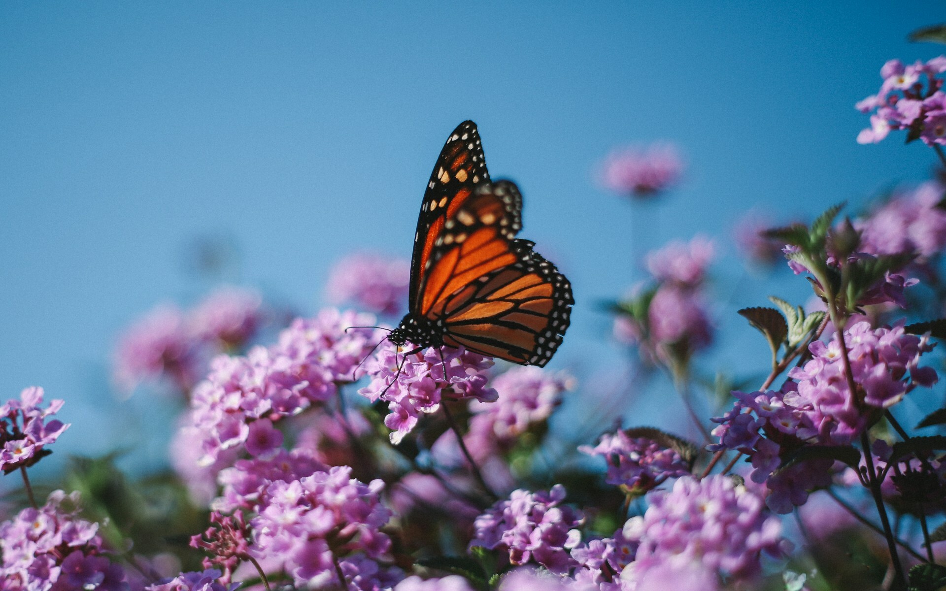 A Profound Transformation — Today Daily Devotional