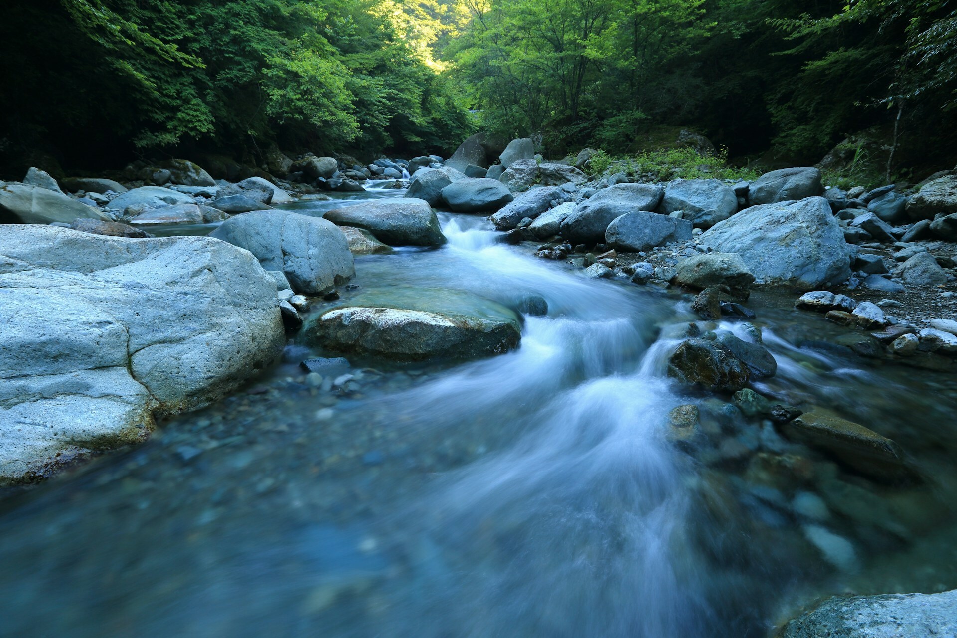 Hydrated Sheep — Today Daily Devotional