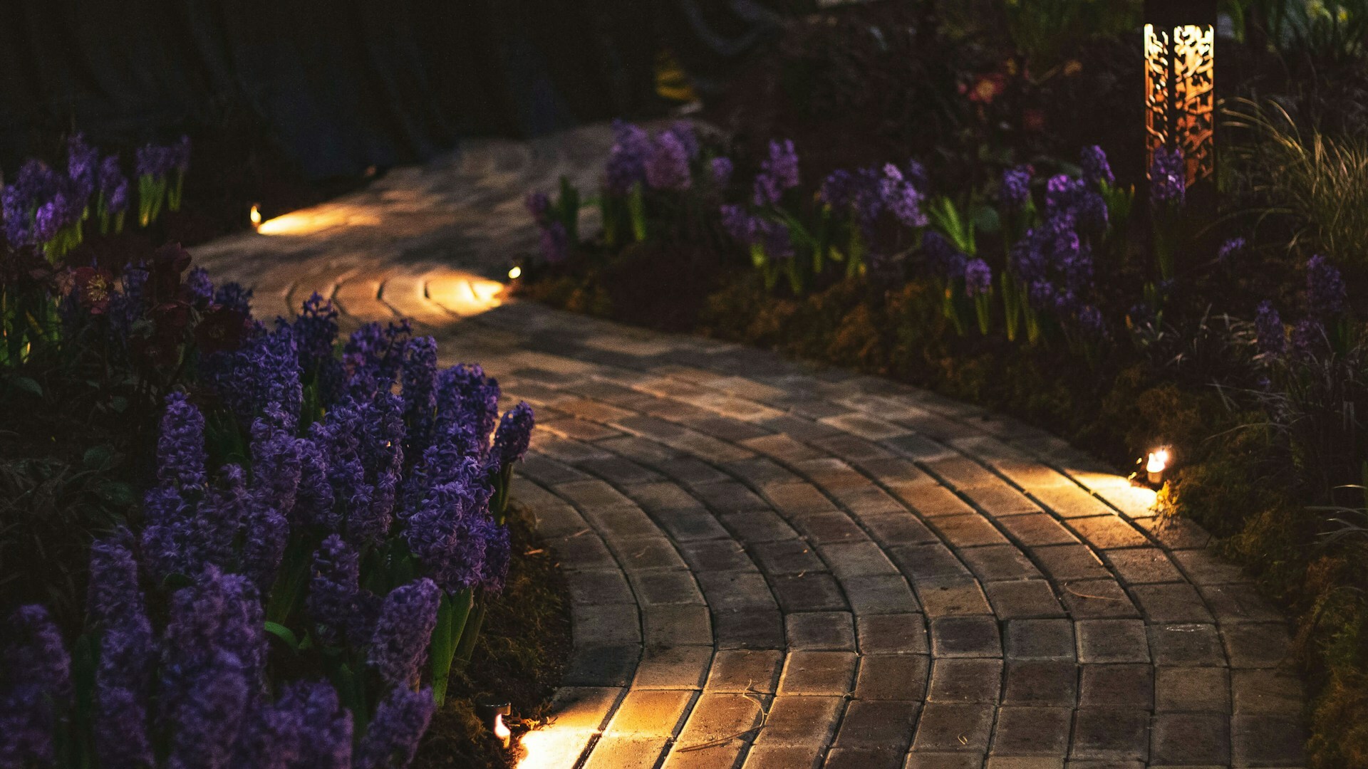In the Garden — Today Daily Devotional
