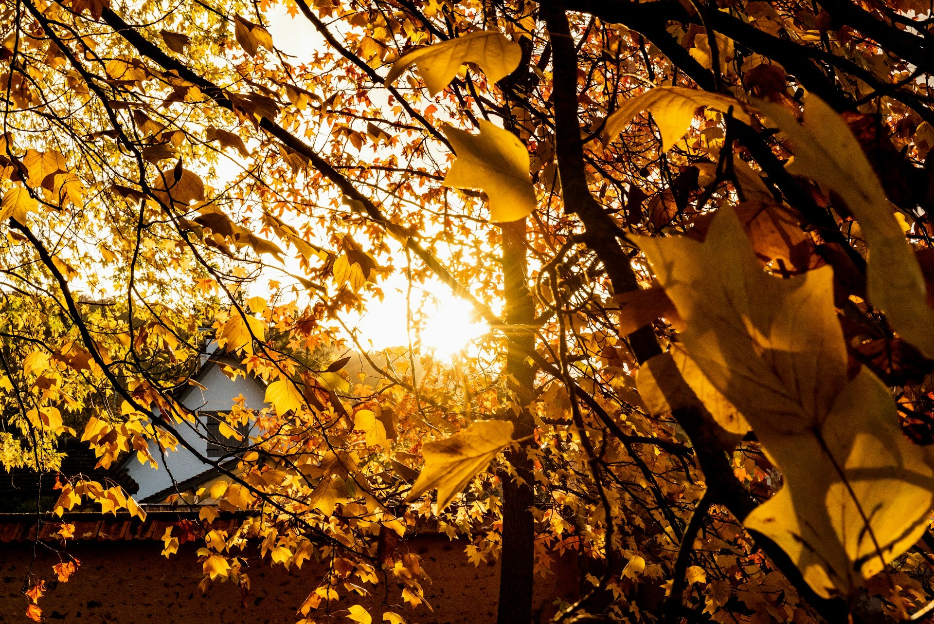 A Divine Appointment — Today Daily Devotional