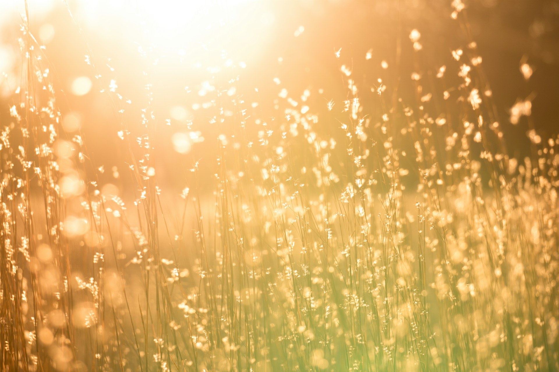 The Resurrection of Jesus — Today Daily Devotional