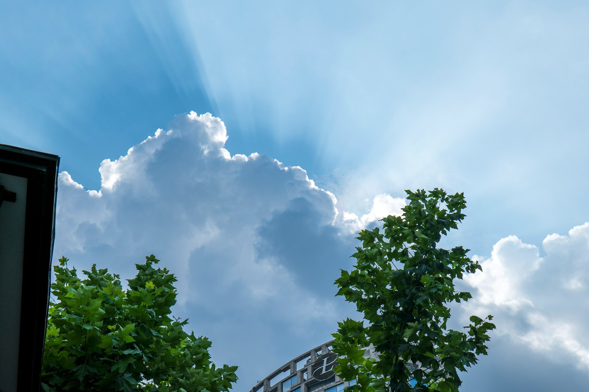 The Ascension of Jesus &mdash; Today Daily Devotional