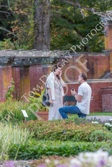 Sears engagement