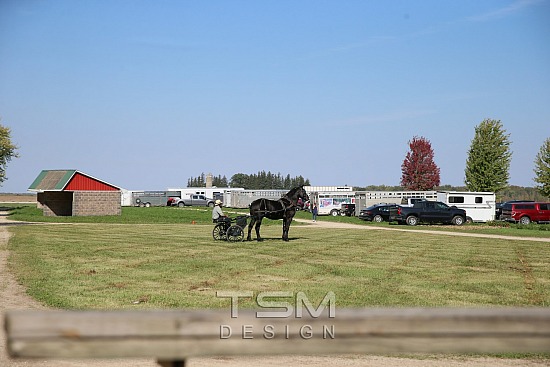 2025 Thanksgiving Draft Horse Sale