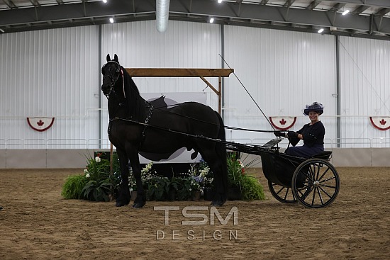 2026 Ontario Show Horse Classic