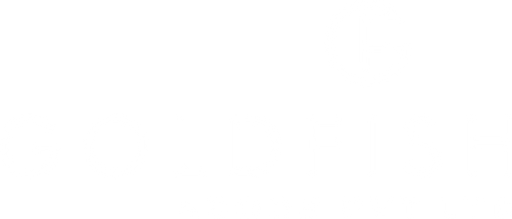 developer