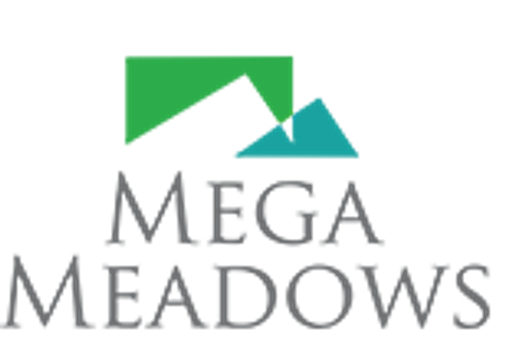 developer