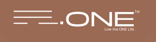 developer