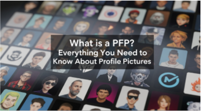 What is a PFP? Profile Picture Guide for 2026 Infographic explaining what a PFP is, including anime profile pictures, aesthetic avatars, matching PFPs, and social media profile picture t