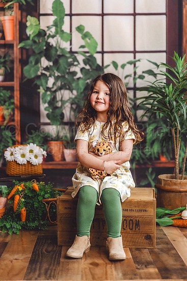 Hazel: Spring Studio