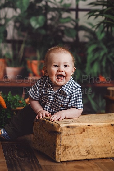 Quinn: Spring Studio