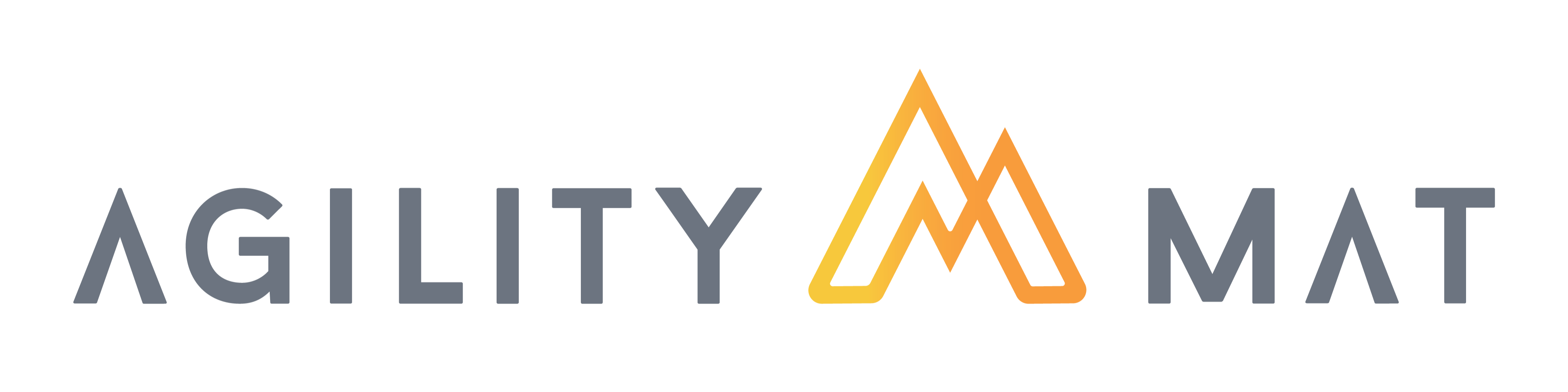 Agility Mat