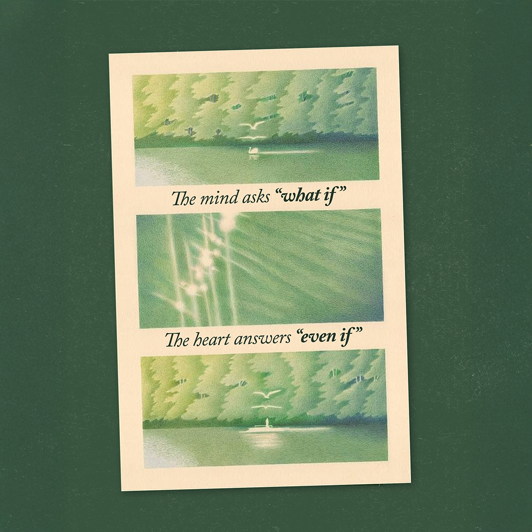 Takip et, bize katıl! 