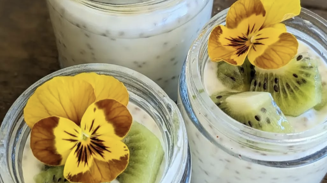 NEW | Tropical Chia Pudding