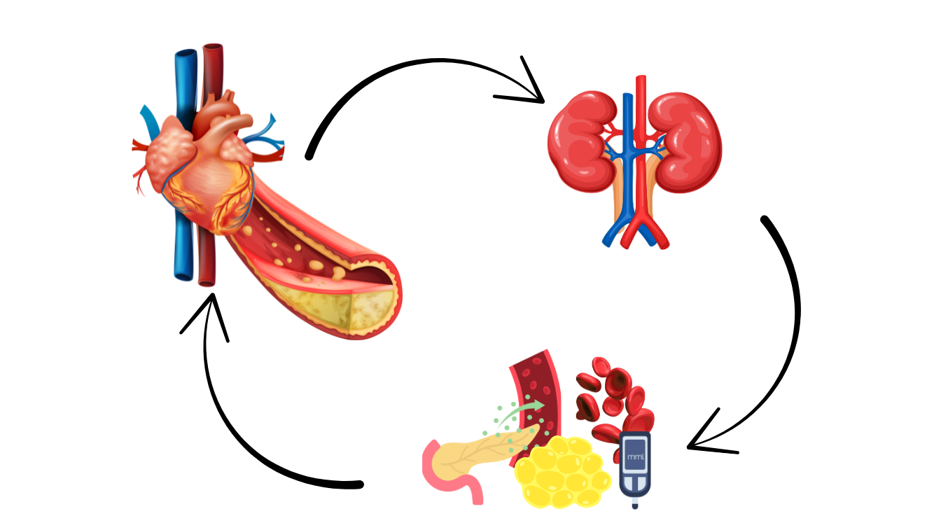 Sindromul cardio-reno-metabolic - abordare profilactică a pacientului cronic