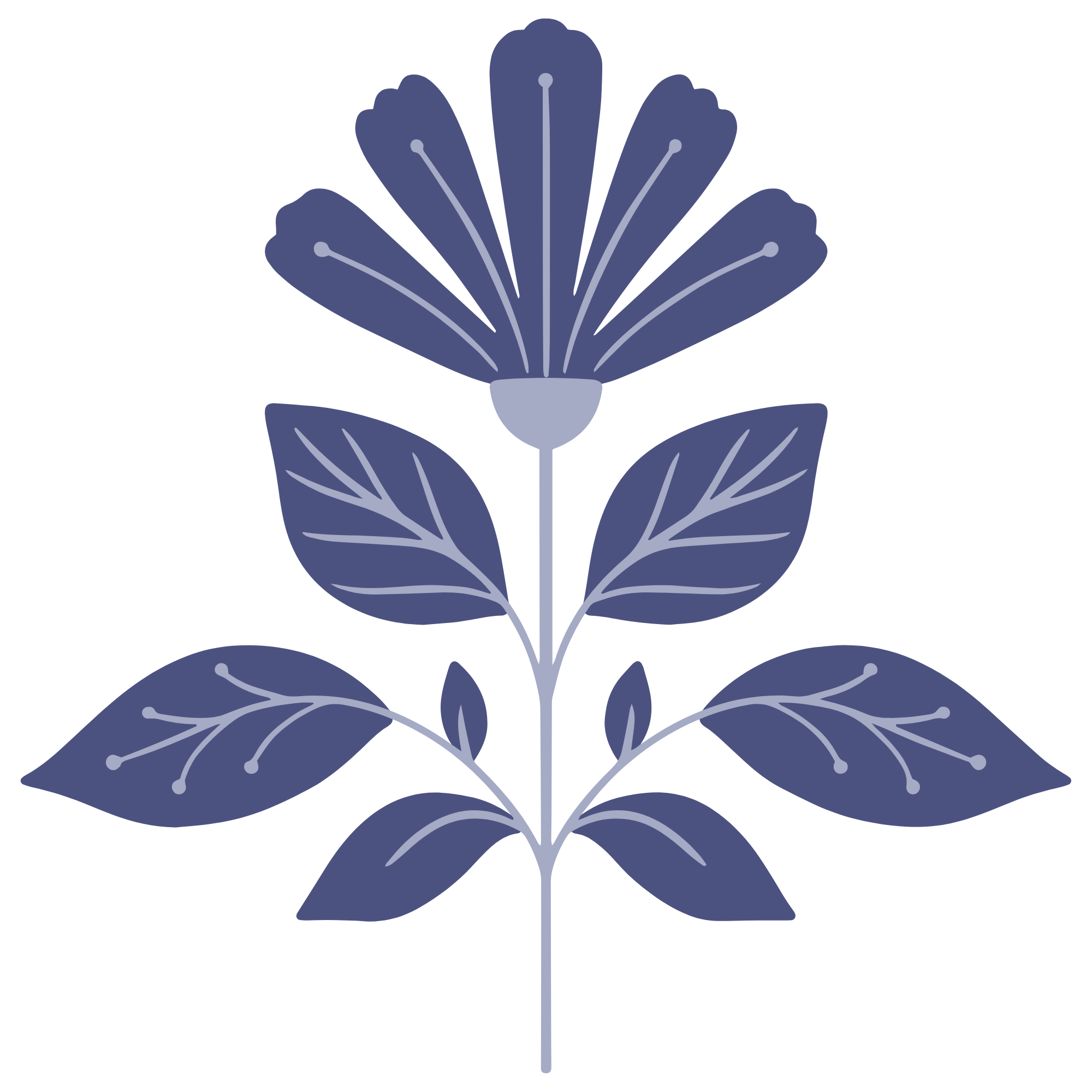 Vector Motif Project