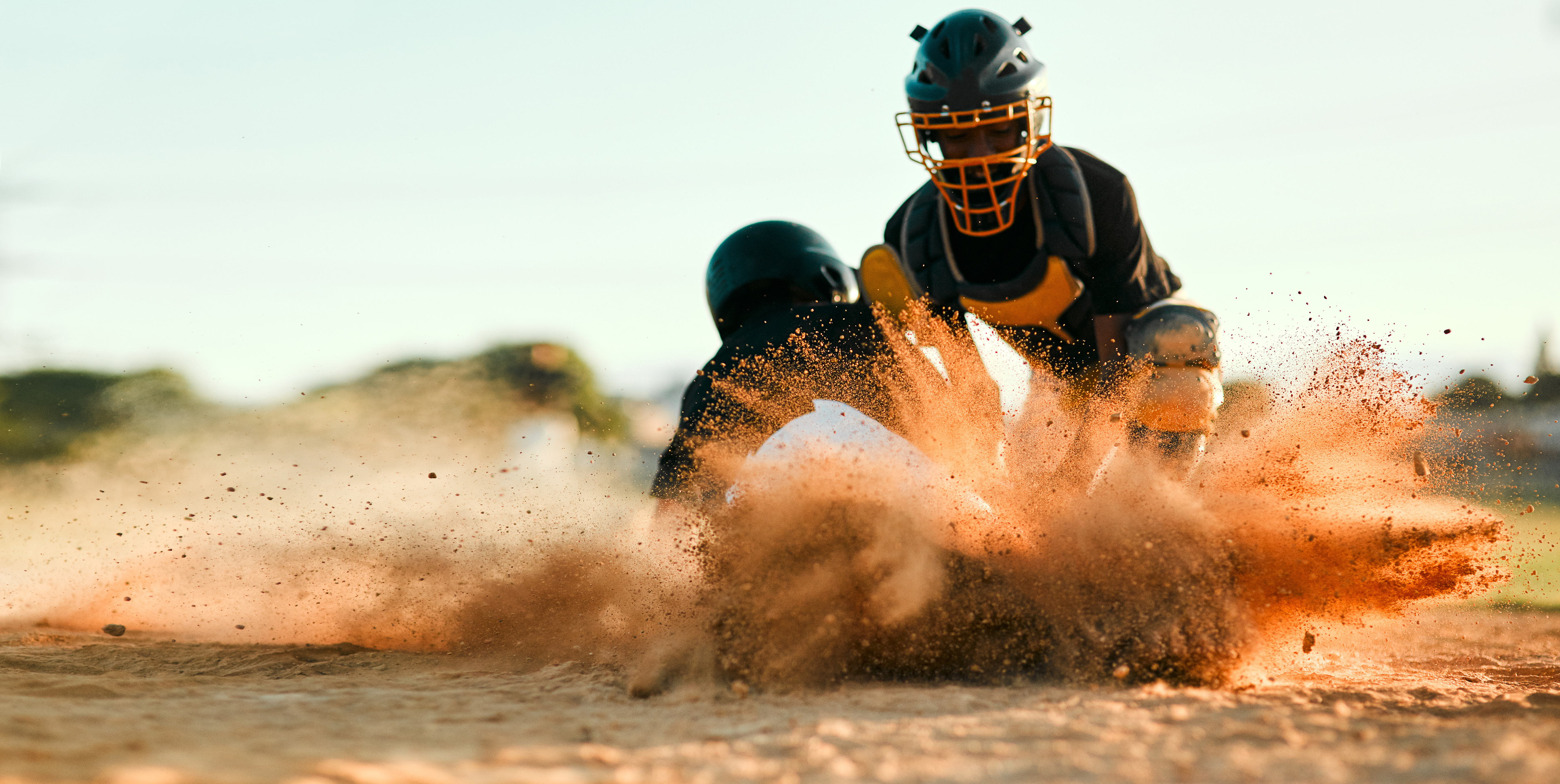 LIONS BASEBALL