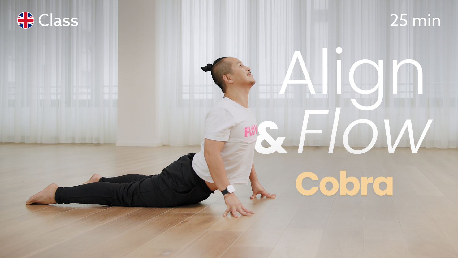 Align & Flow - Cobra
