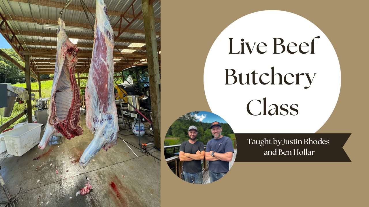 Join Us for a One-of-a-Kind Beef Butchery Class!