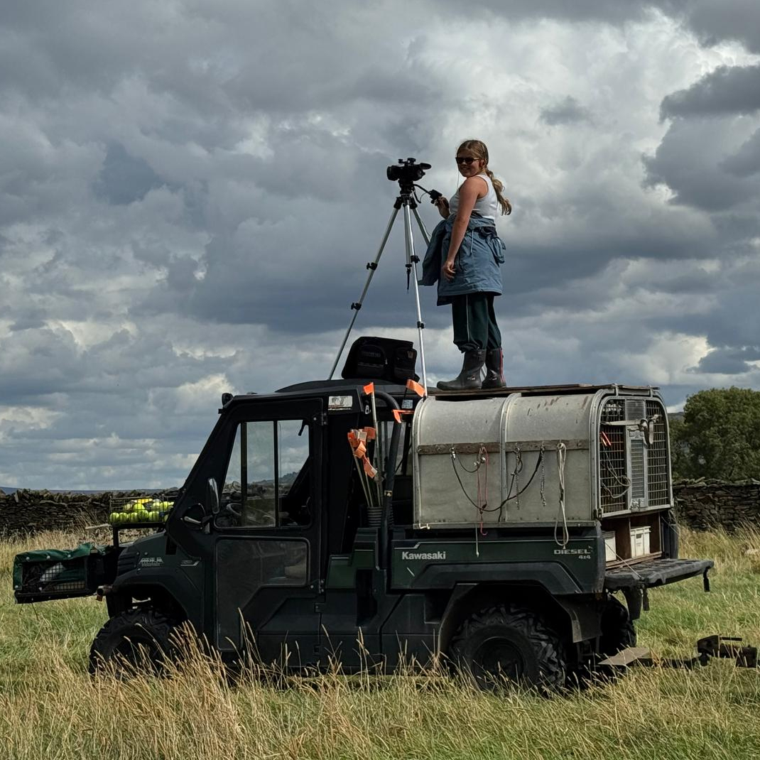 Film crew in action