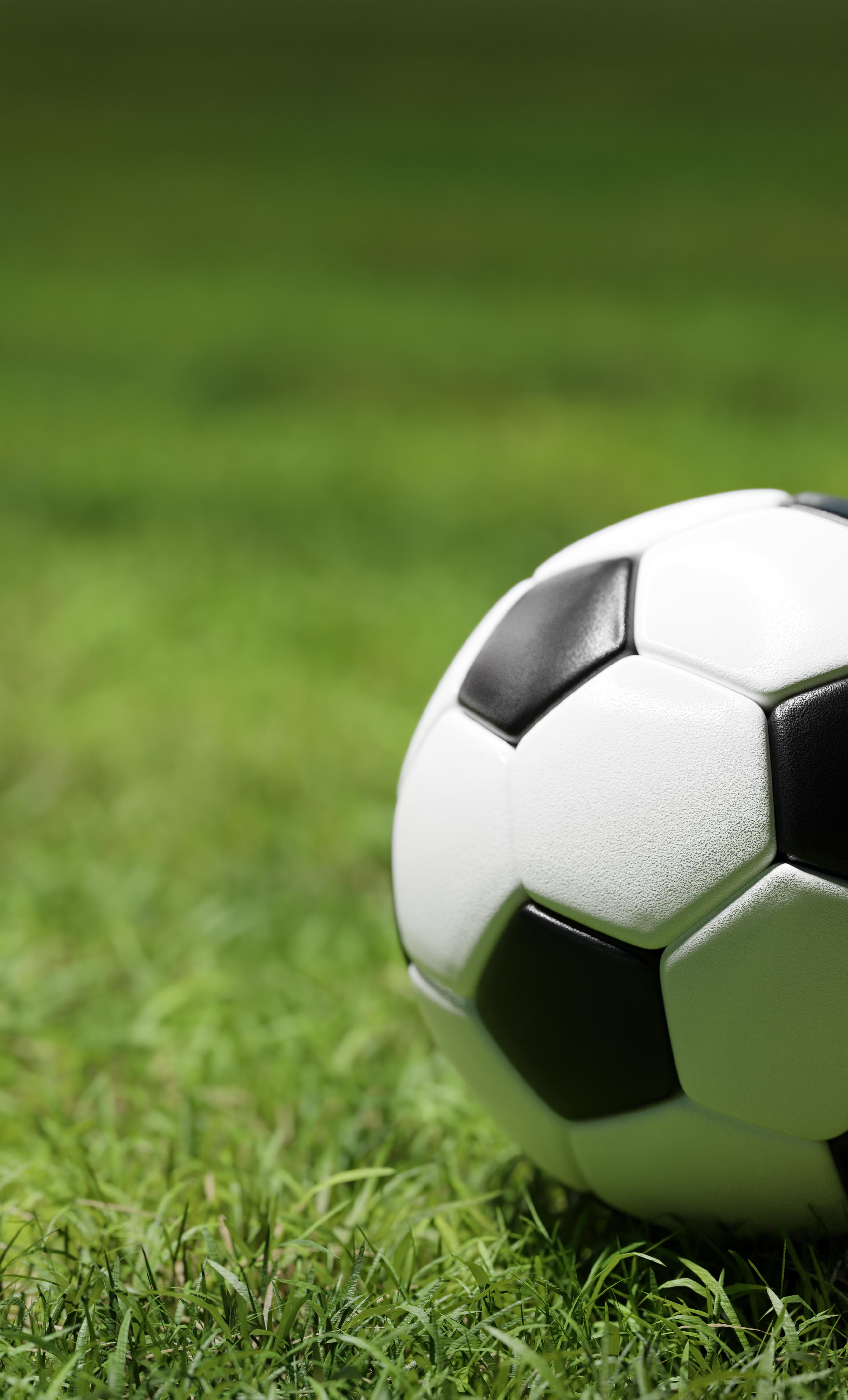 ROUGH RIDER SOCCER